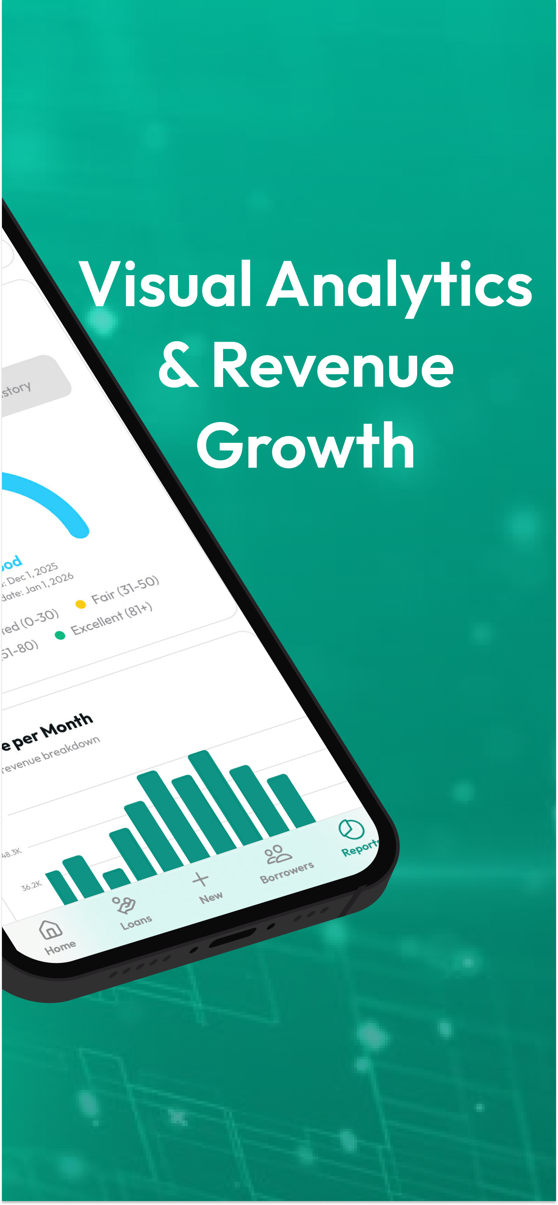 CashBrew Lending Dashboard Screenshot 3 - Automated Ledger and Transaction History